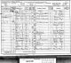 Census 1891 Poplar, London, England RG12 / 336 / 43