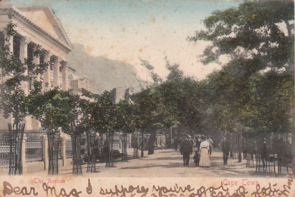 Cape Town - The Avenue