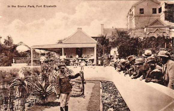 Port Elizabeth - Snake Park