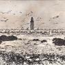 Port Elizabeth Bird Is