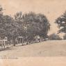 Uitenhage - Caledon Street 1
