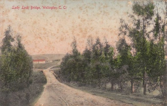 Wellington - Lady Lock Bridge