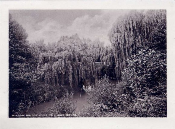 Willow Bridge over the Umsindusi-800