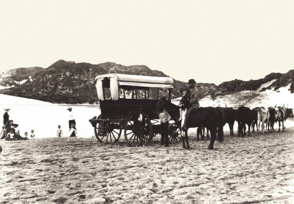 Kasouga - oxwagon on beach 