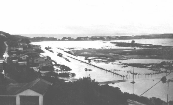 Flood - Marina area