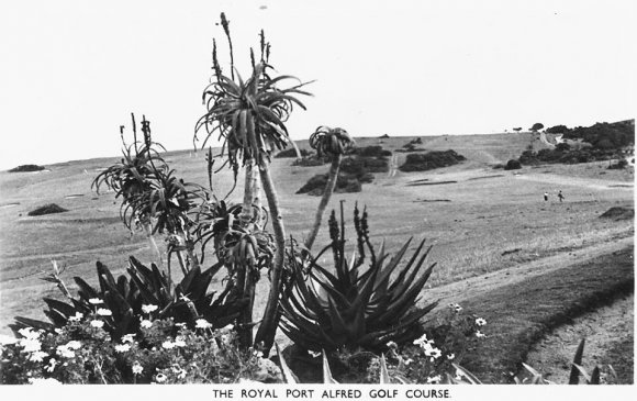 The Royal Port Alfred Golf Course