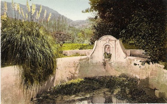 Groot Constantia Old Swimming Bath