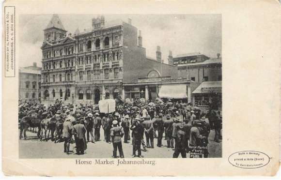 Johannesburg Horse Market