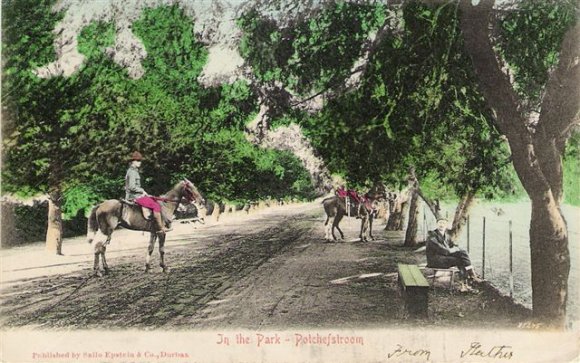Potchefstroom In the Park