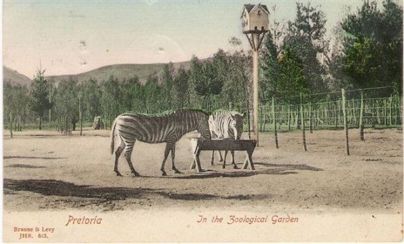 Pretoria In the Zoological Garden
