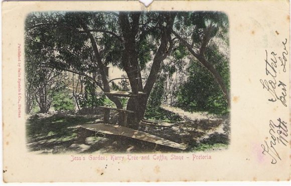 Pretoria Jess_s Garden_ Karry Tree _amp_ Coffin stone