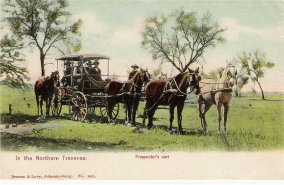 Prospectors Cart In Northern Tvl