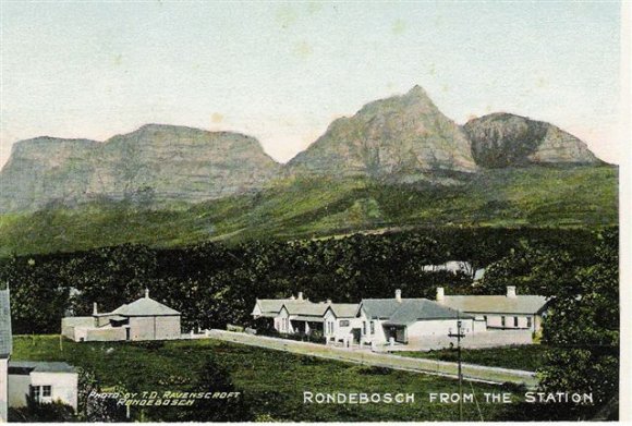 Rondebosch from the Station